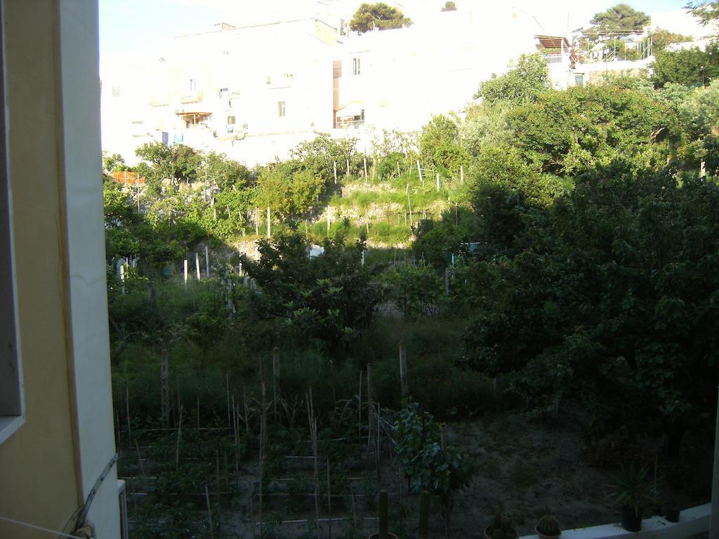 Blu Mare Hotel Ponza Exterior photo